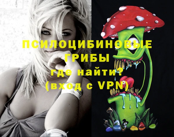 стафф Магас