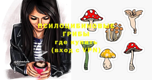 прущие грибы Лиски