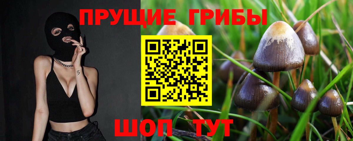 Галлюциногенные грибы прущие грибы Лесной