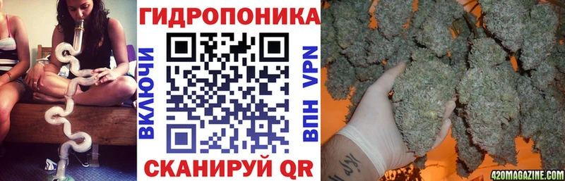 Бошки Шишки гибрид Лесной