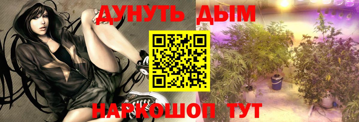 Конопля конопля  Каннабис White Widow  Лесной  Вход с VPN 
